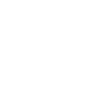 Tire Icon